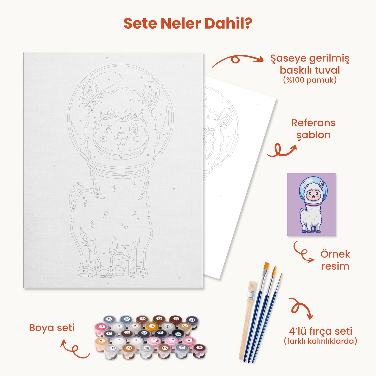 Astro Lama Sayılarla Boyama Seti 35x45 cm