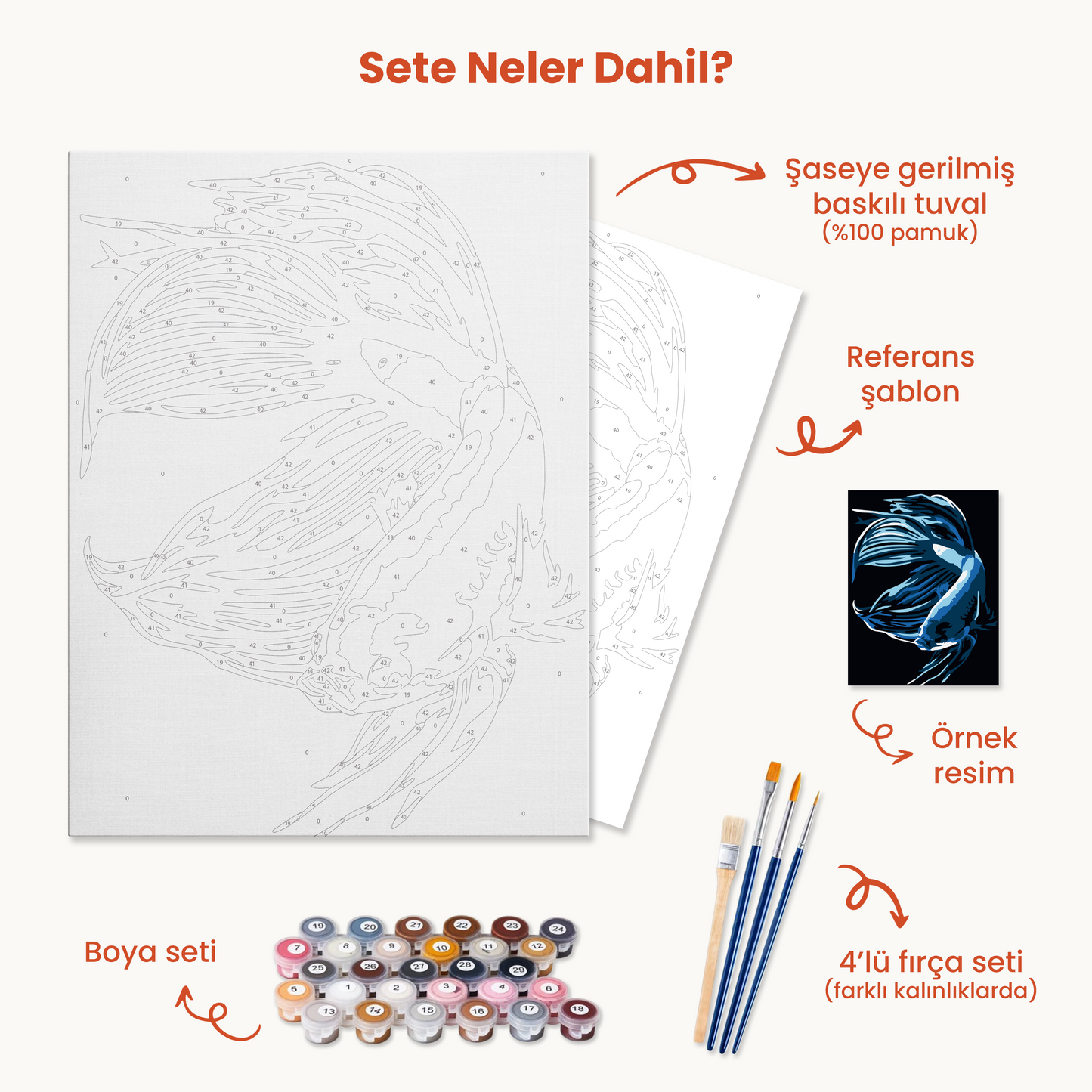 Beta Balığı Sayılarla Boyama Seti 35x45 cm