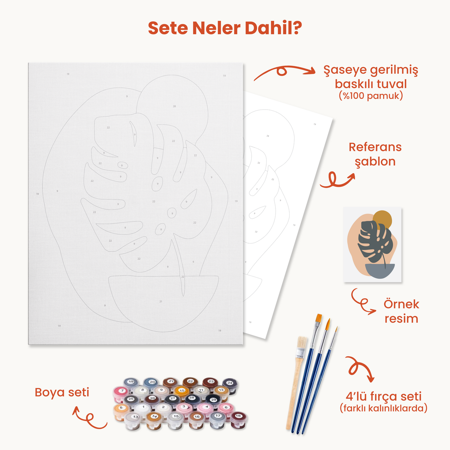 Deve Tabanı Sayılarla Boyama Seti 35x45 cm
